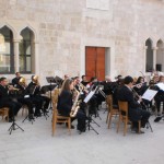 pag2011